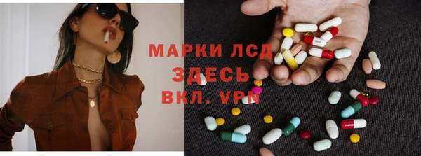 молекула духа Арсеньев