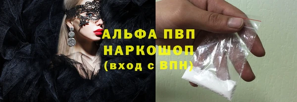 индика Медногорск