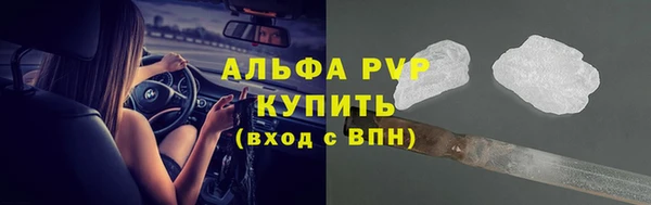 молекула духа Арсеньев