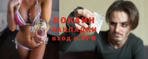 молекула духа Арсеньев