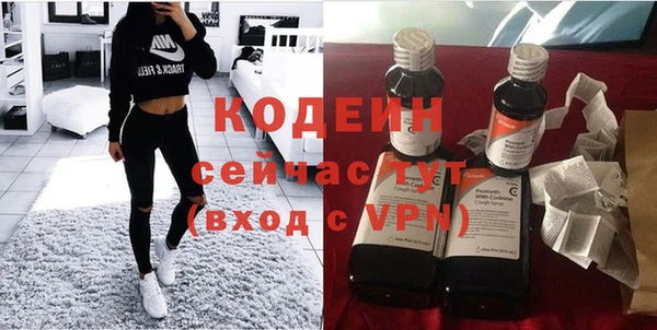 молекула духа Арсеньев