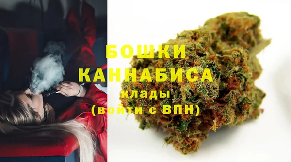 молекула духа Арсеньев