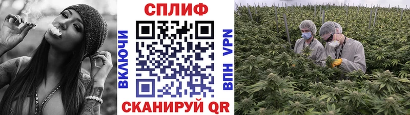 Канабис Amnesia  Медногорск 